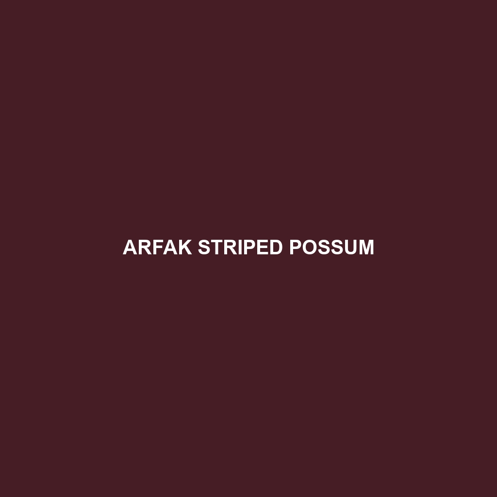 Arfak Striped Possum