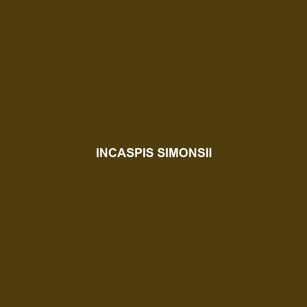 Incaspis simonsii