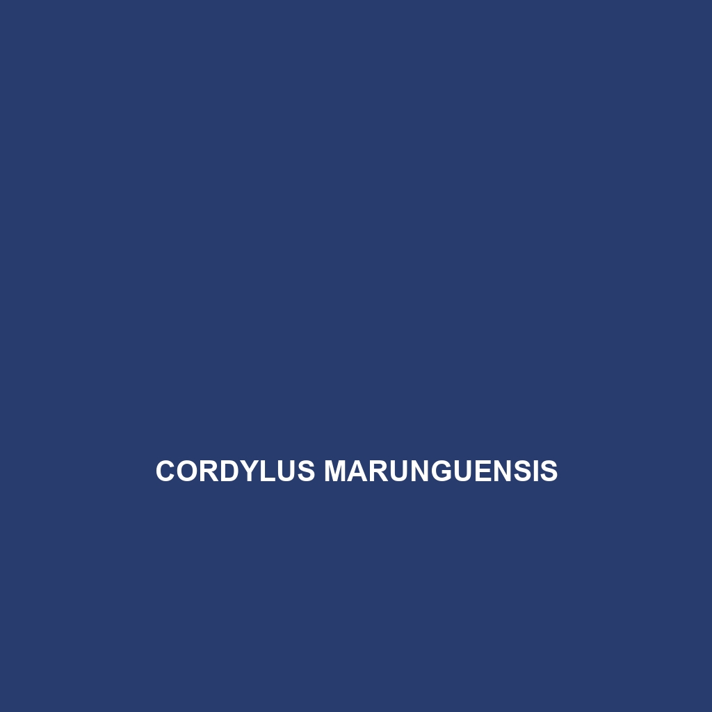 Cordylus marunguensis