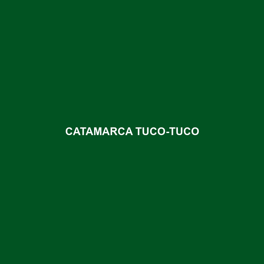 Catamarca Tuco-tuco