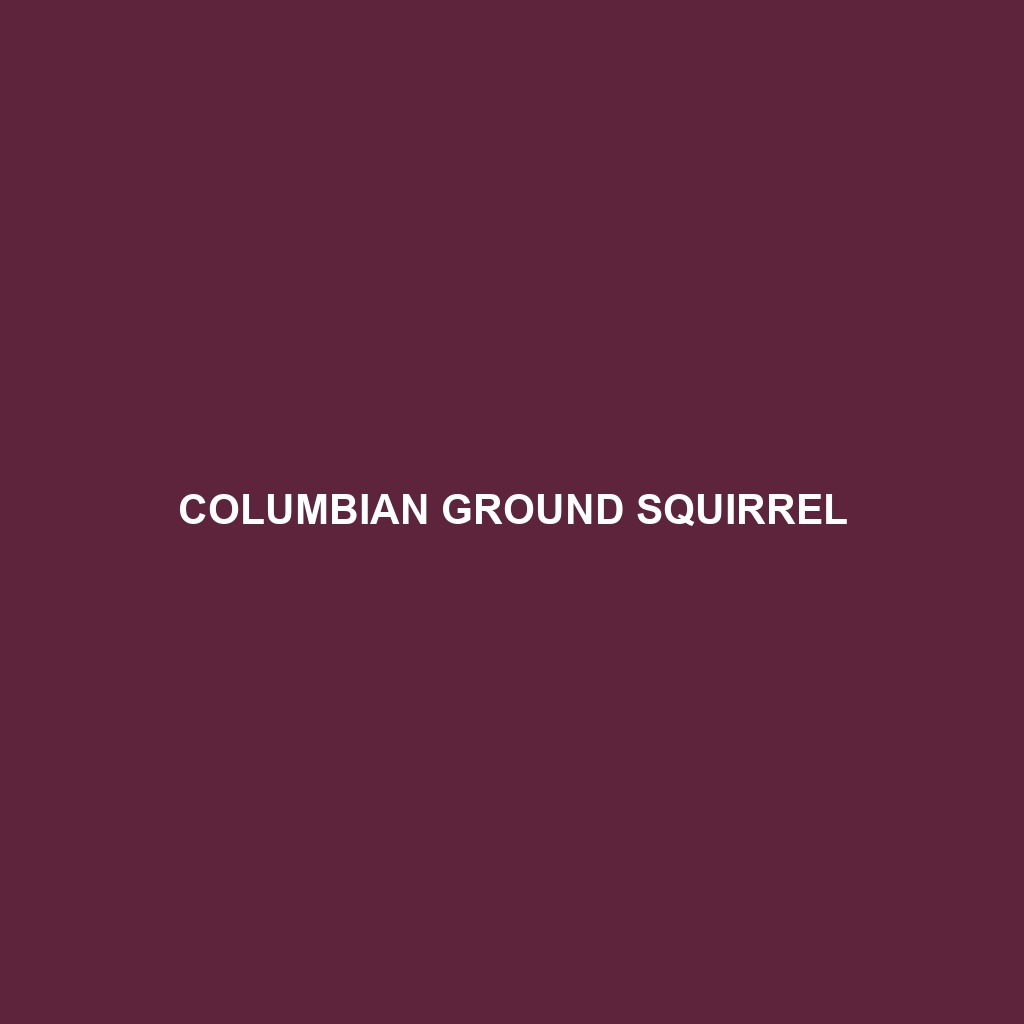 Columbian Ground Squirrel