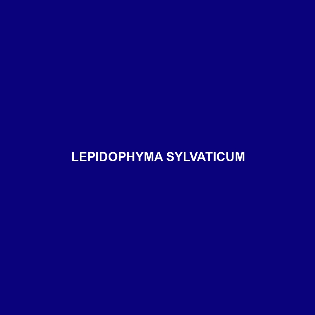 Lepidophyma sylvaticum