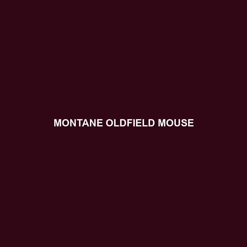 Montane Oldfield Mouse