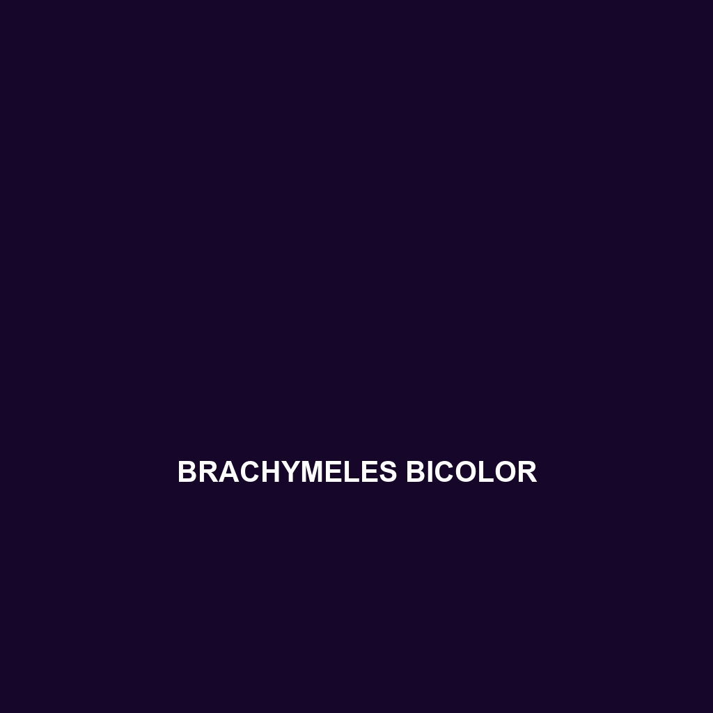 Brachymeles bicolandia