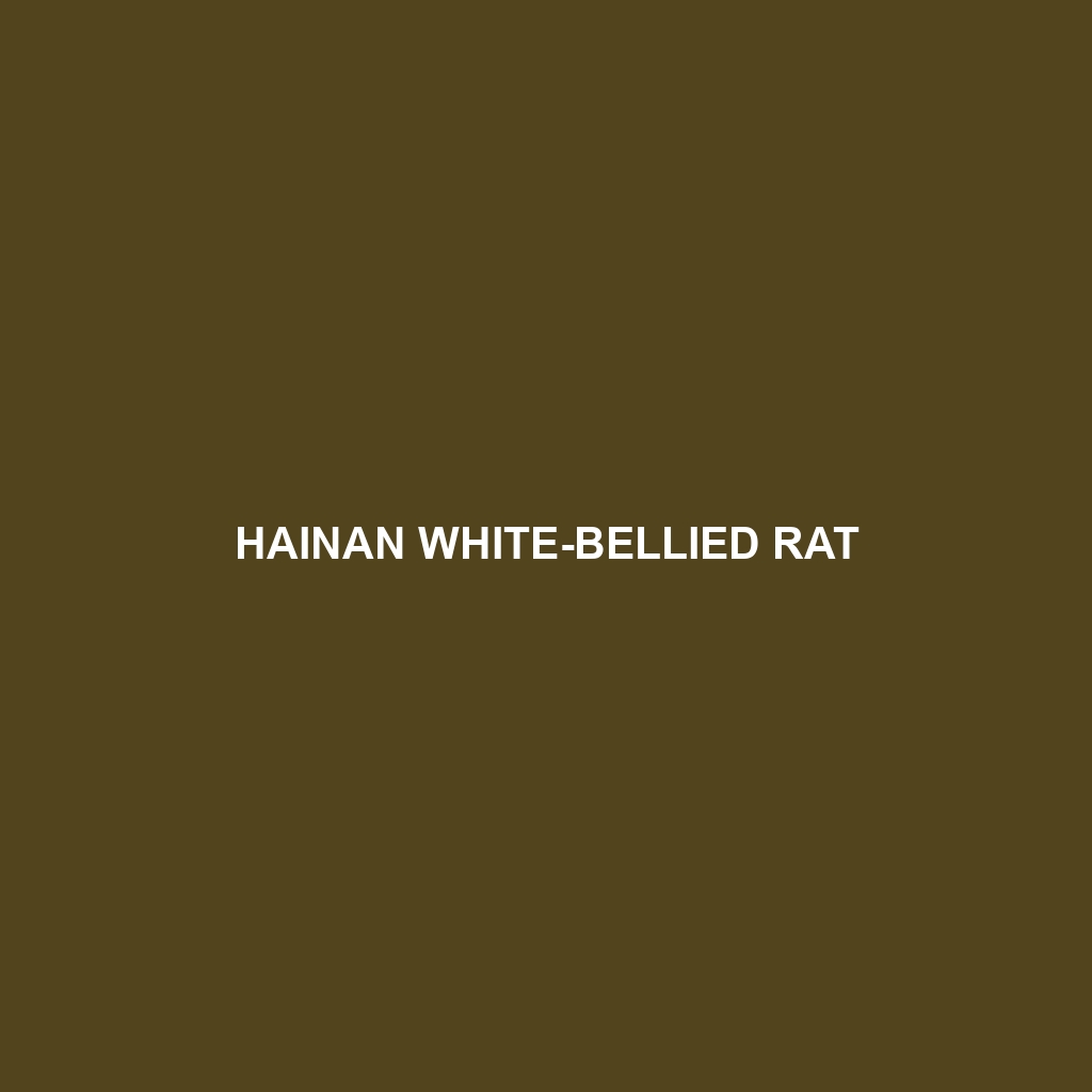 Hainan White-bellied Rat