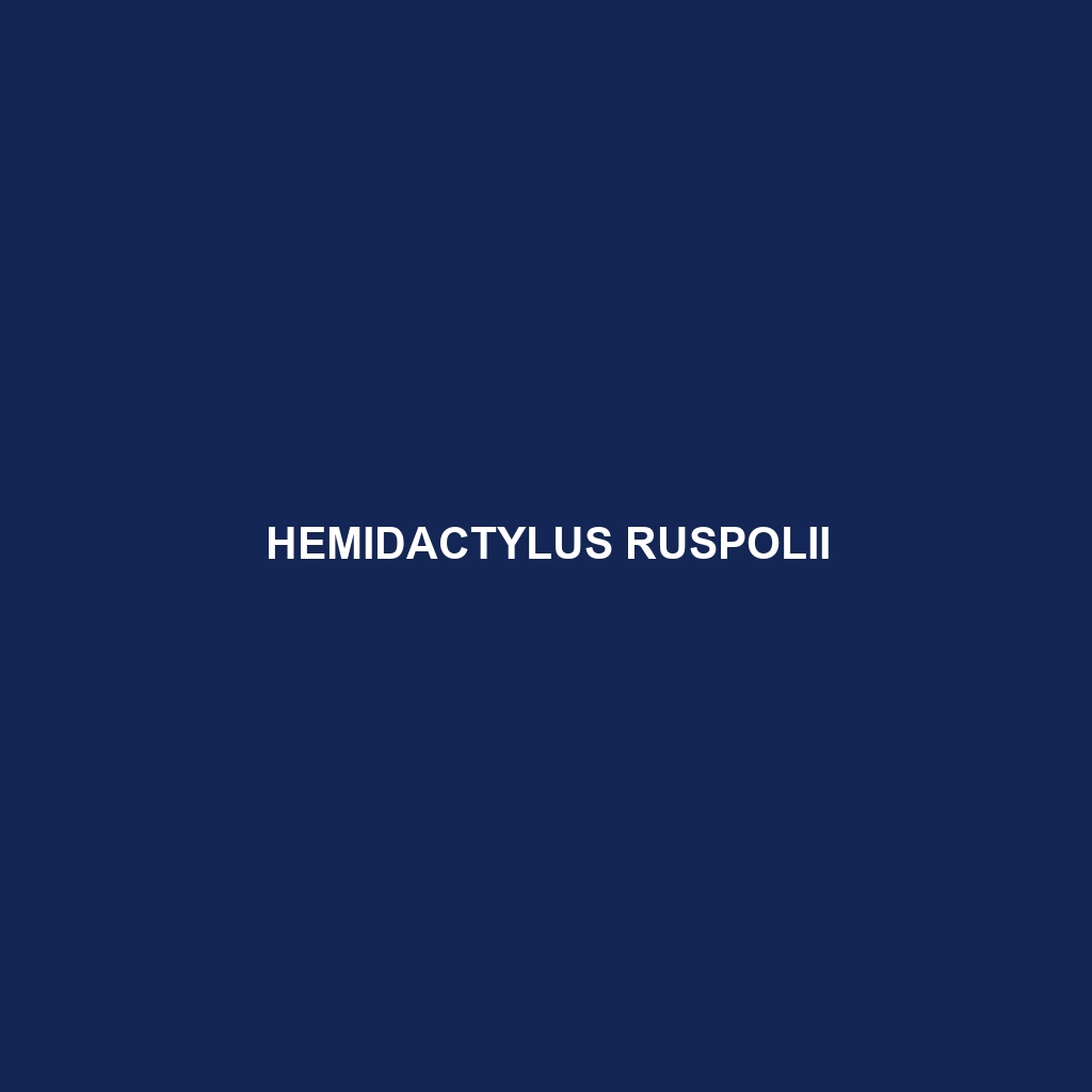 Hemidactylus ruspolii