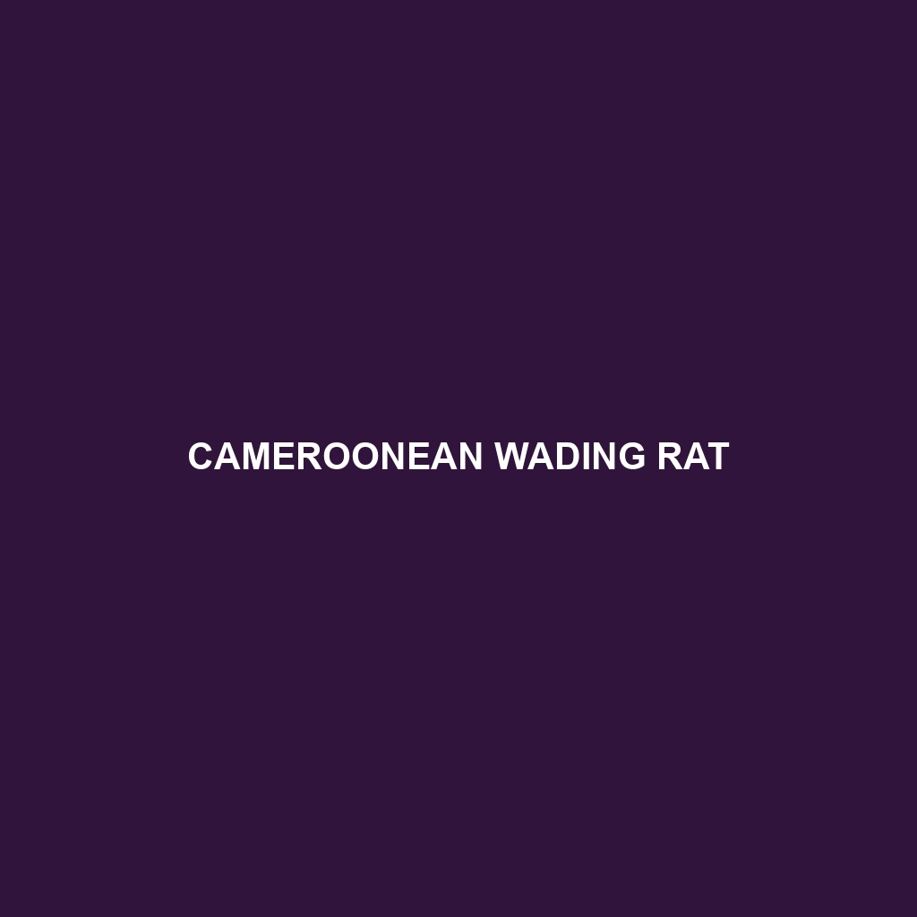 Cameroonean Wading Rat