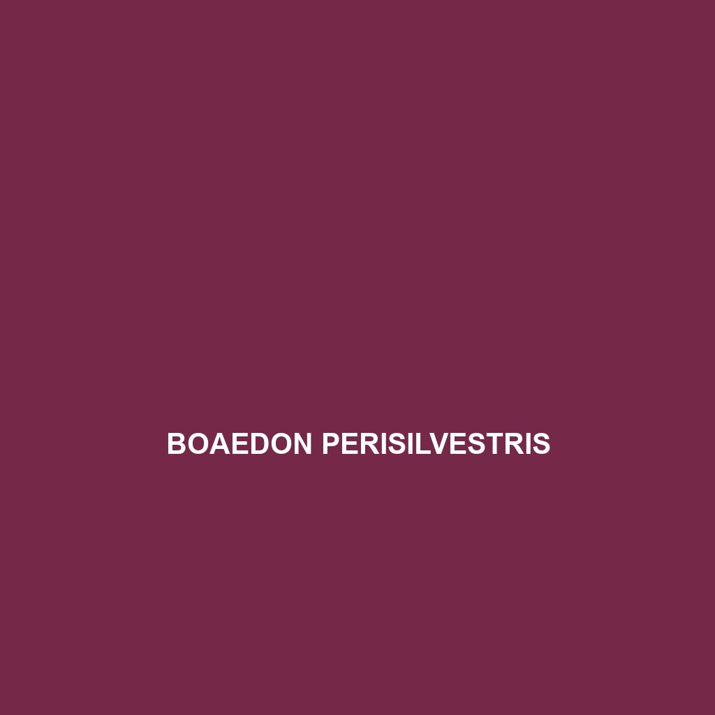 Boaedon perisilvestris