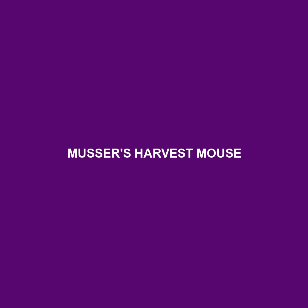 Musser's Harvest Mouse