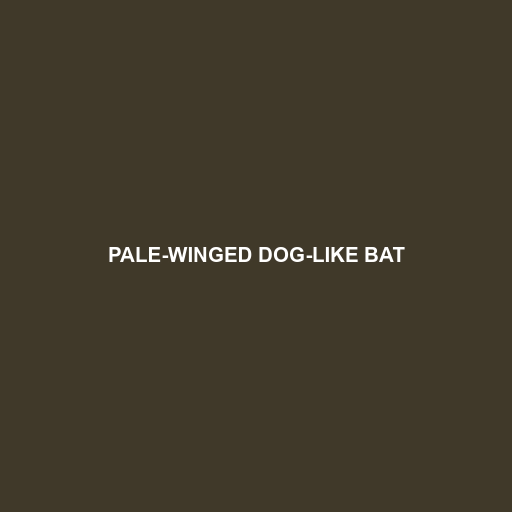 Pale-winged Dog-like Bat