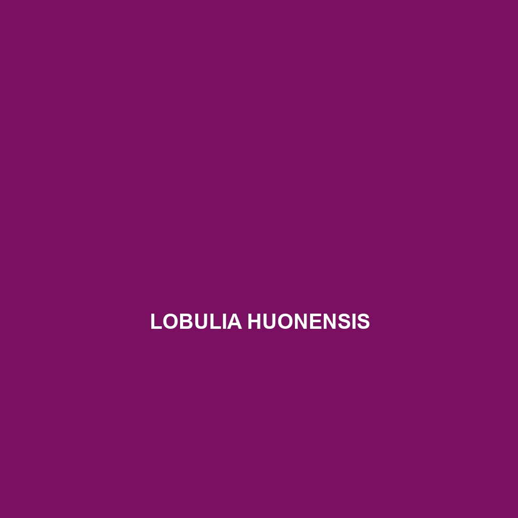 Lobulia huonensis