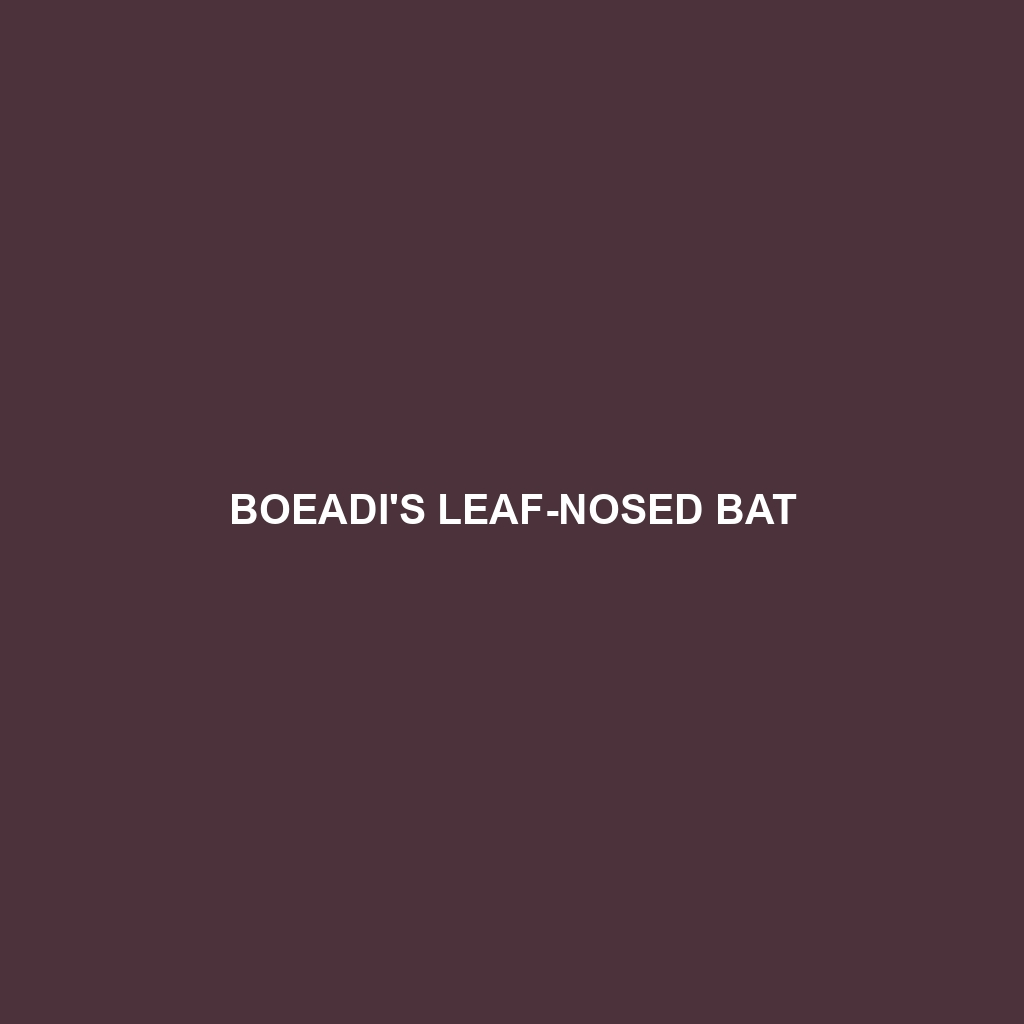 Boeadi's Leaf-nosed Bat