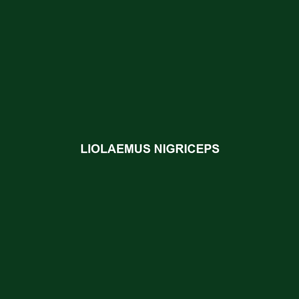 Liolaemus nigriceps