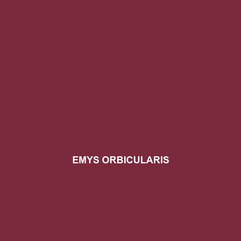 Emys orbicularis