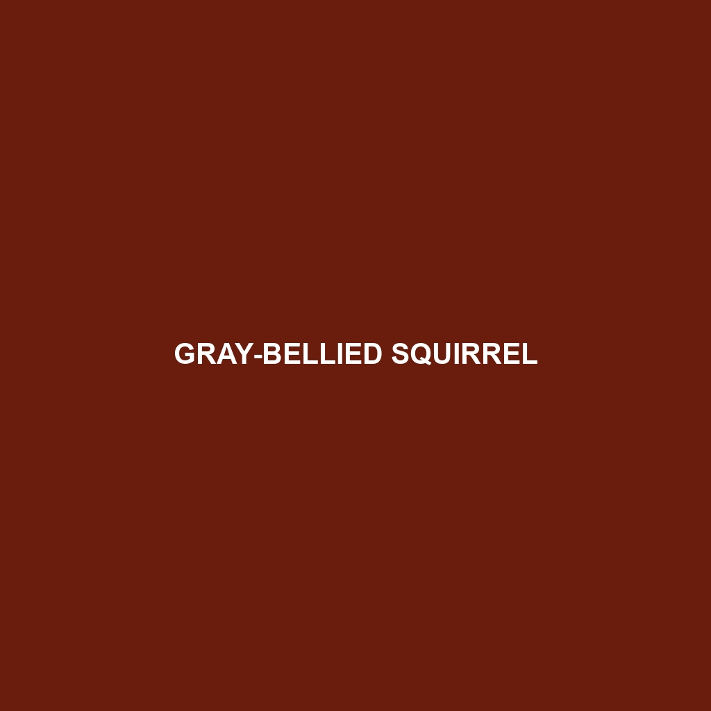 Gray-bellied Squirrel