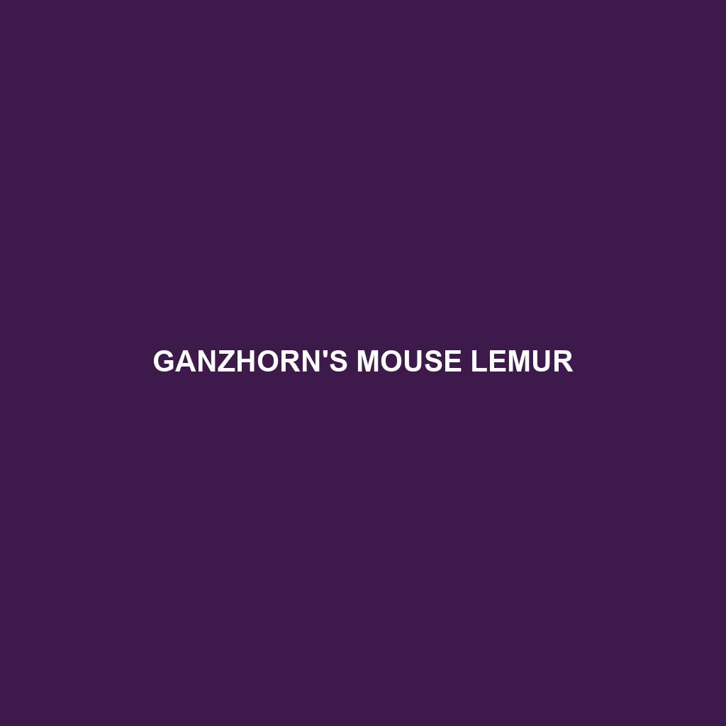 Ganzhorn's Mouse Lemur