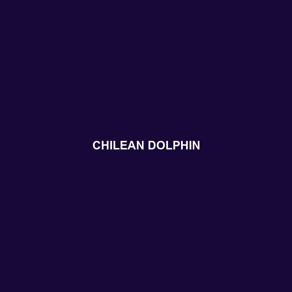 Chilean Dolphin