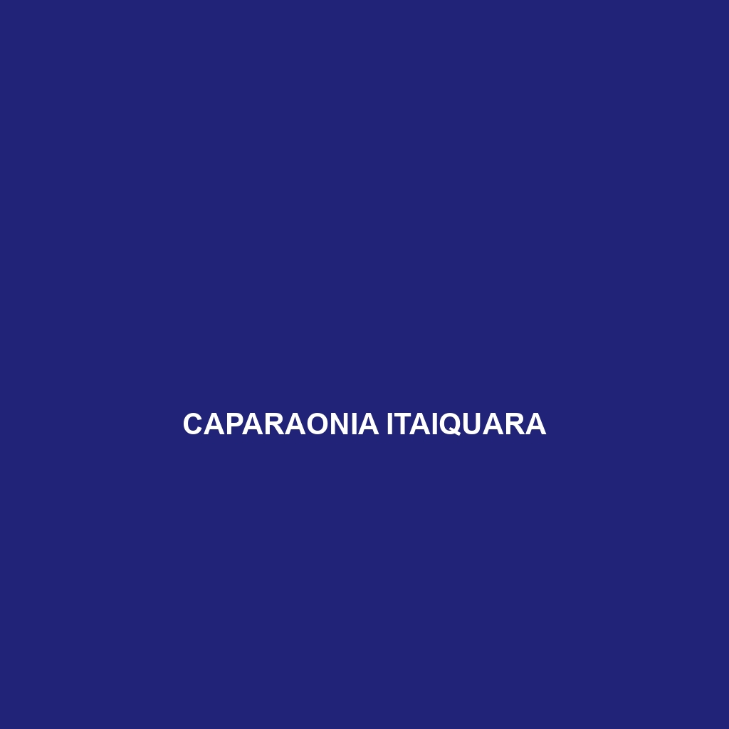 Caparaonia itaiquara