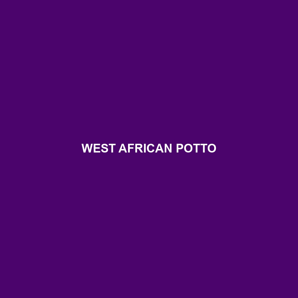 West African Potto