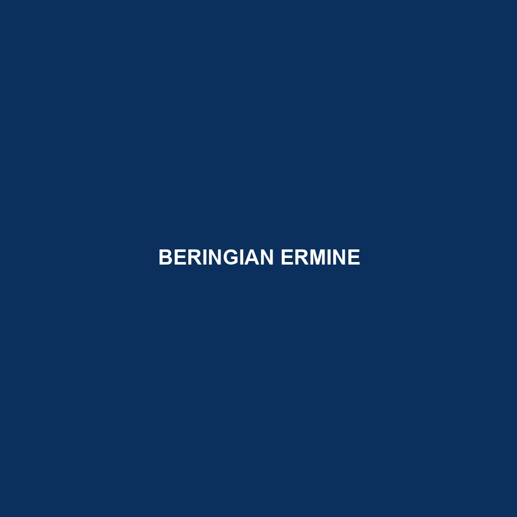 Beringian Ermine