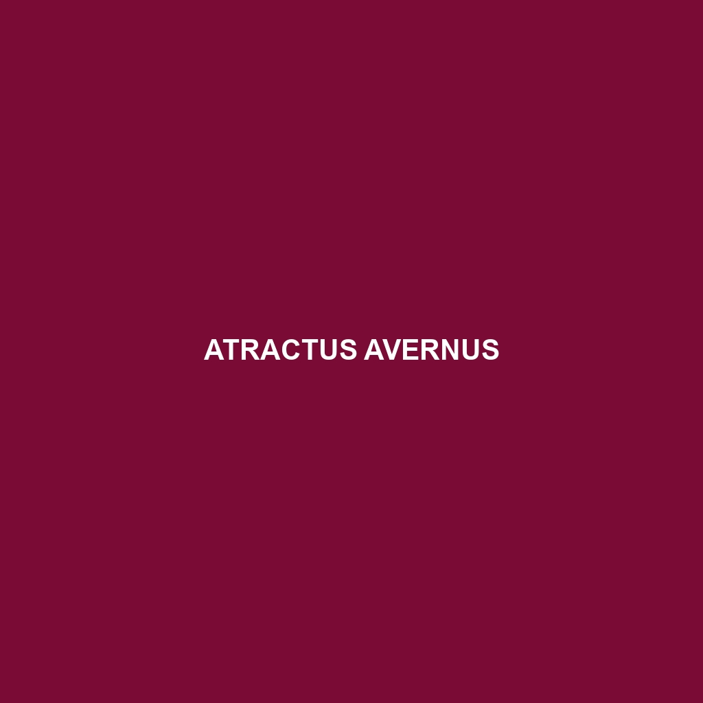 Atractus avernus