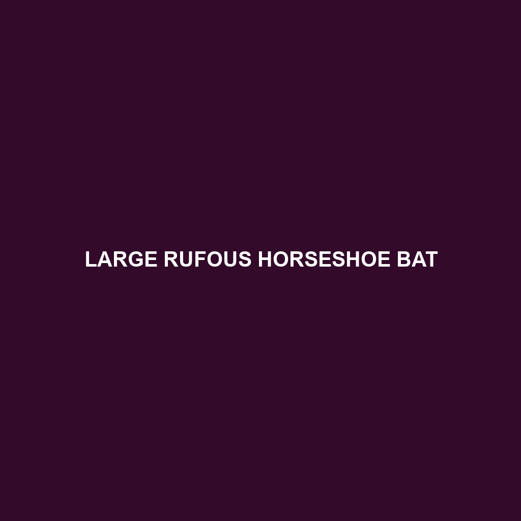 Large Rufous Horseshoe Bat