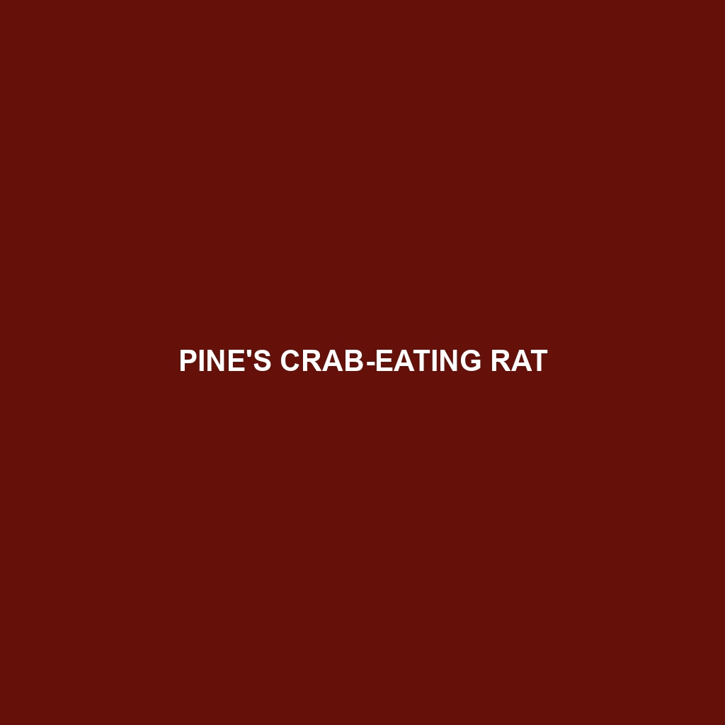 Pine's Crab-eating Rat