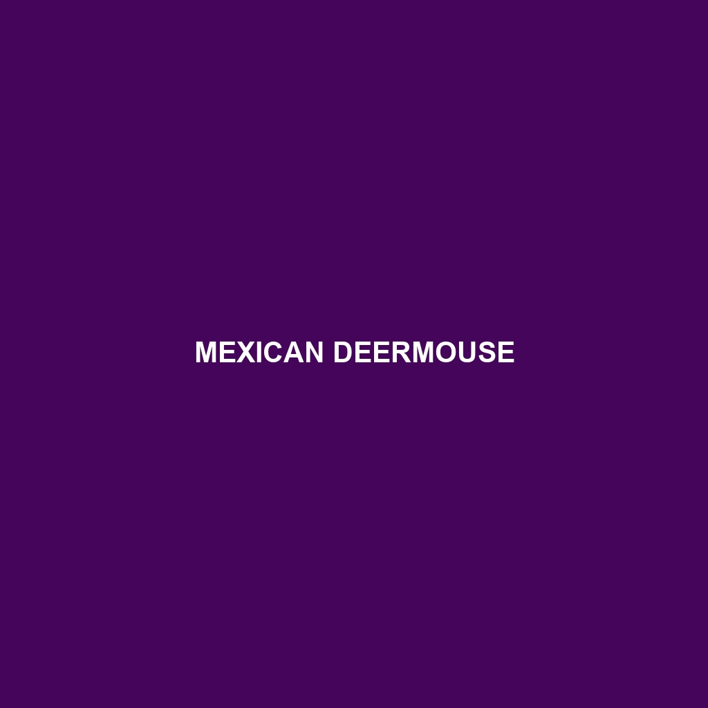 Mexican Deermouse