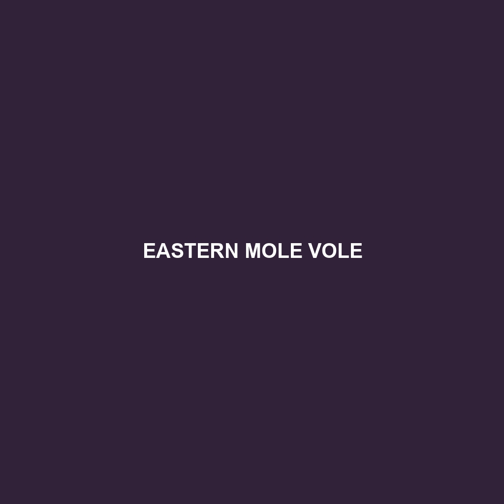 Eastern Mole Vole