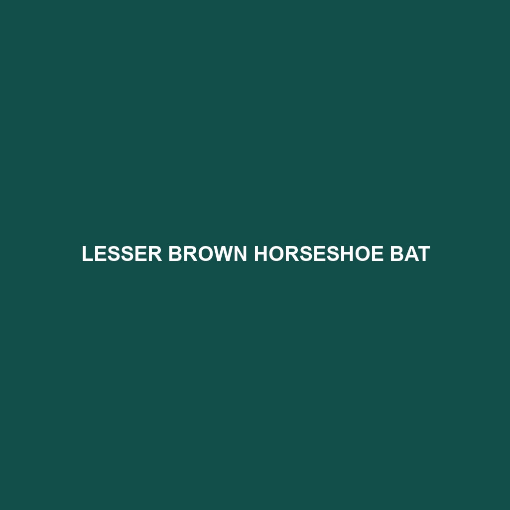 Lesser Brown Horseshoe Bat