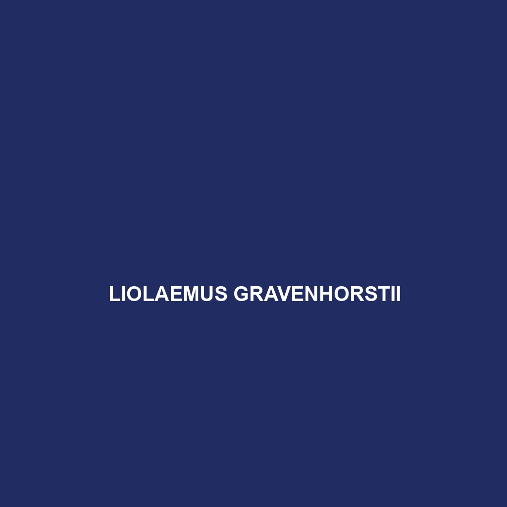 Liolaemus gravenhorstii