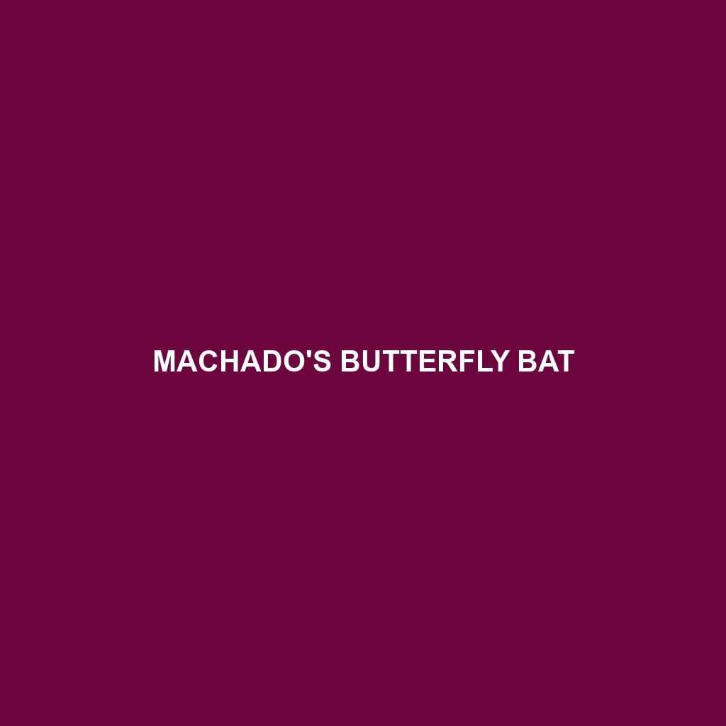 Machado's Butterfly Bat