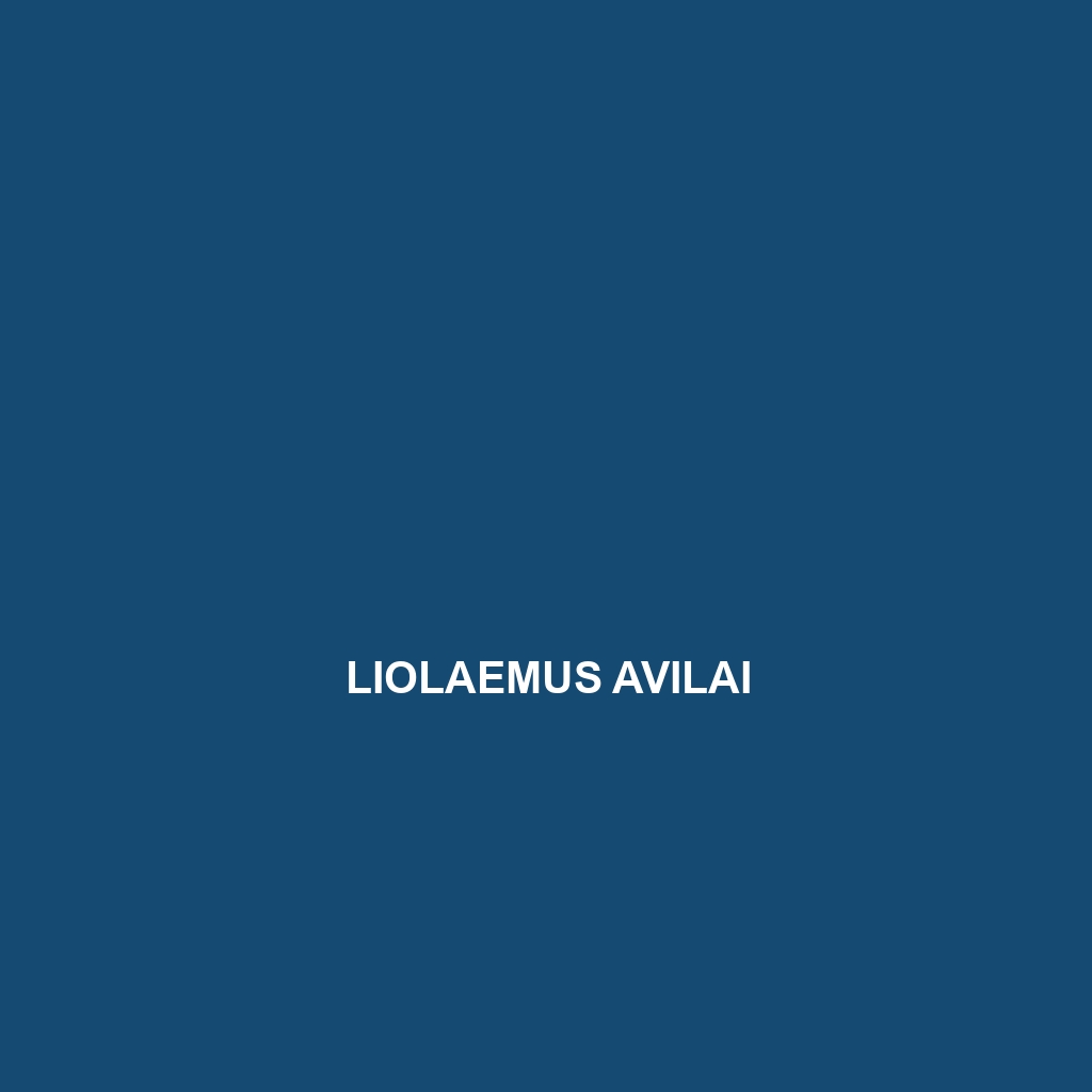 Liolaemus avilai