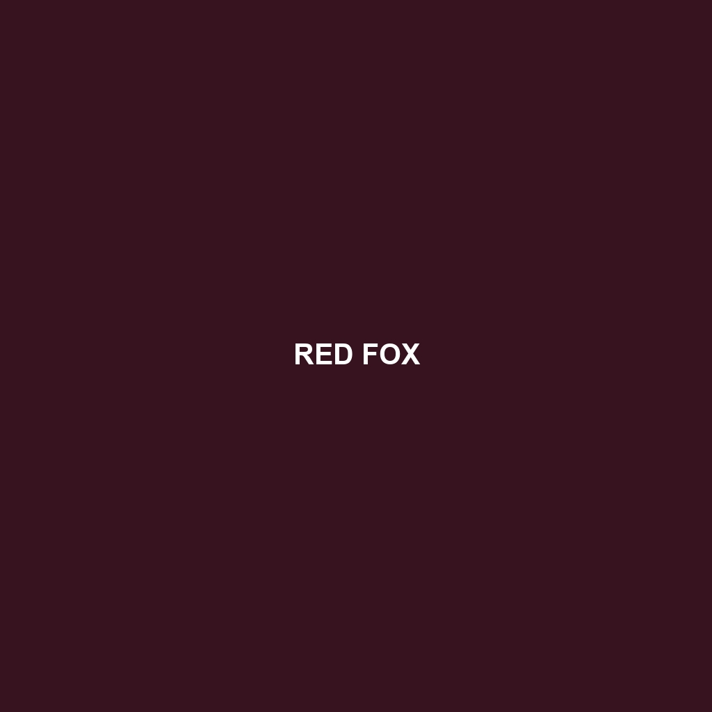 Red Fox