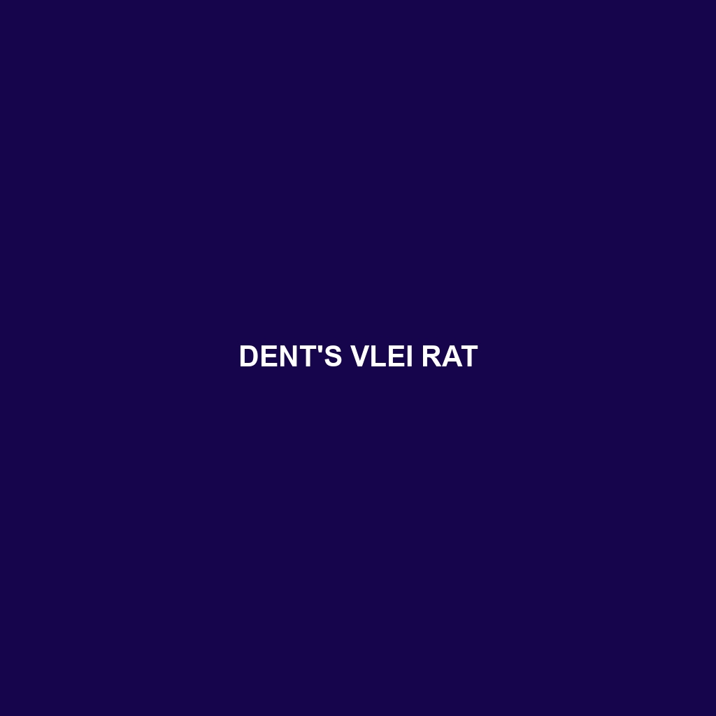 Dent's Vlei Rat