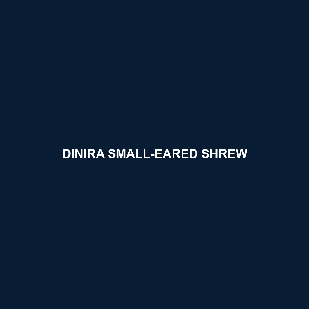 Dinira Small-eared Shrew