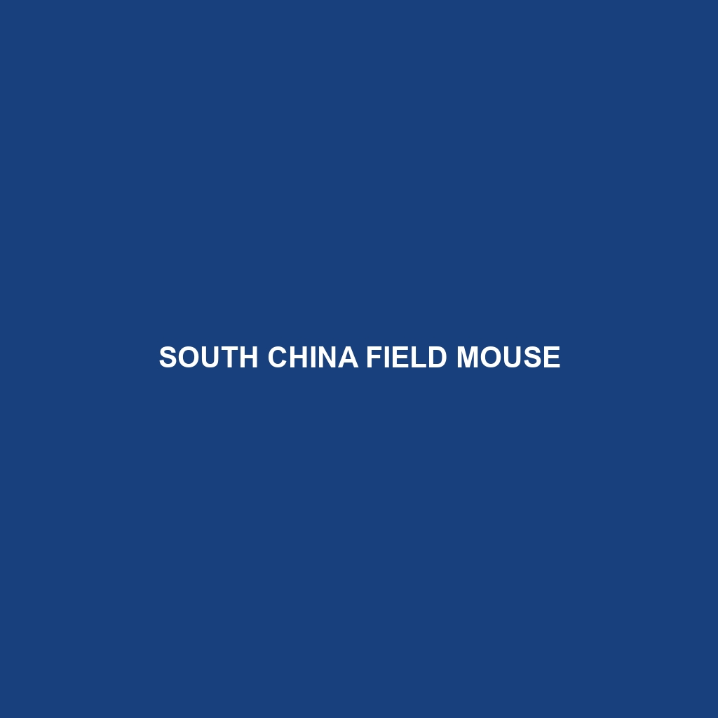 South China Field Mouse