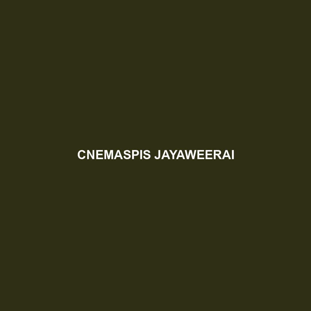 Cnemaspis jayaweerai