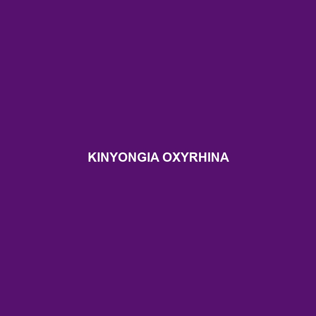 Kinyongia oxyrhina