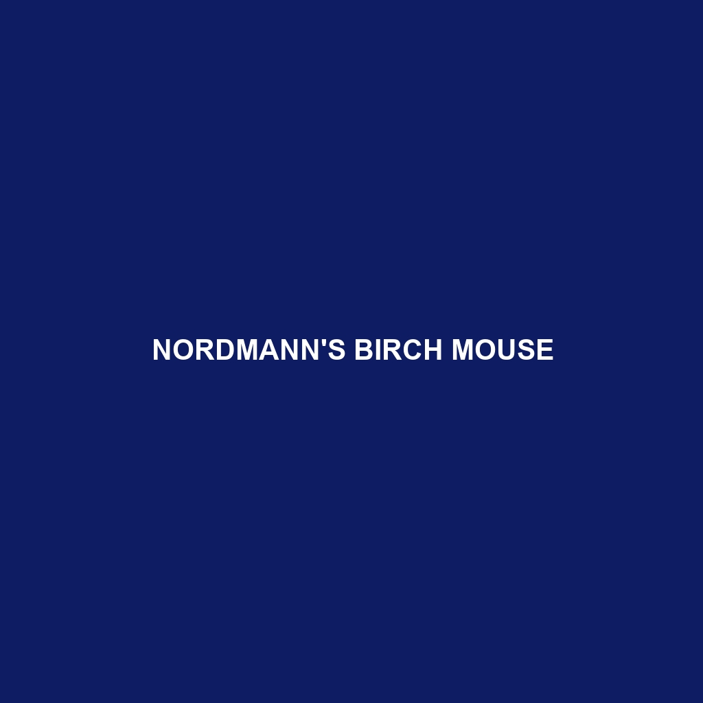 Nordmann's Birch Mouse