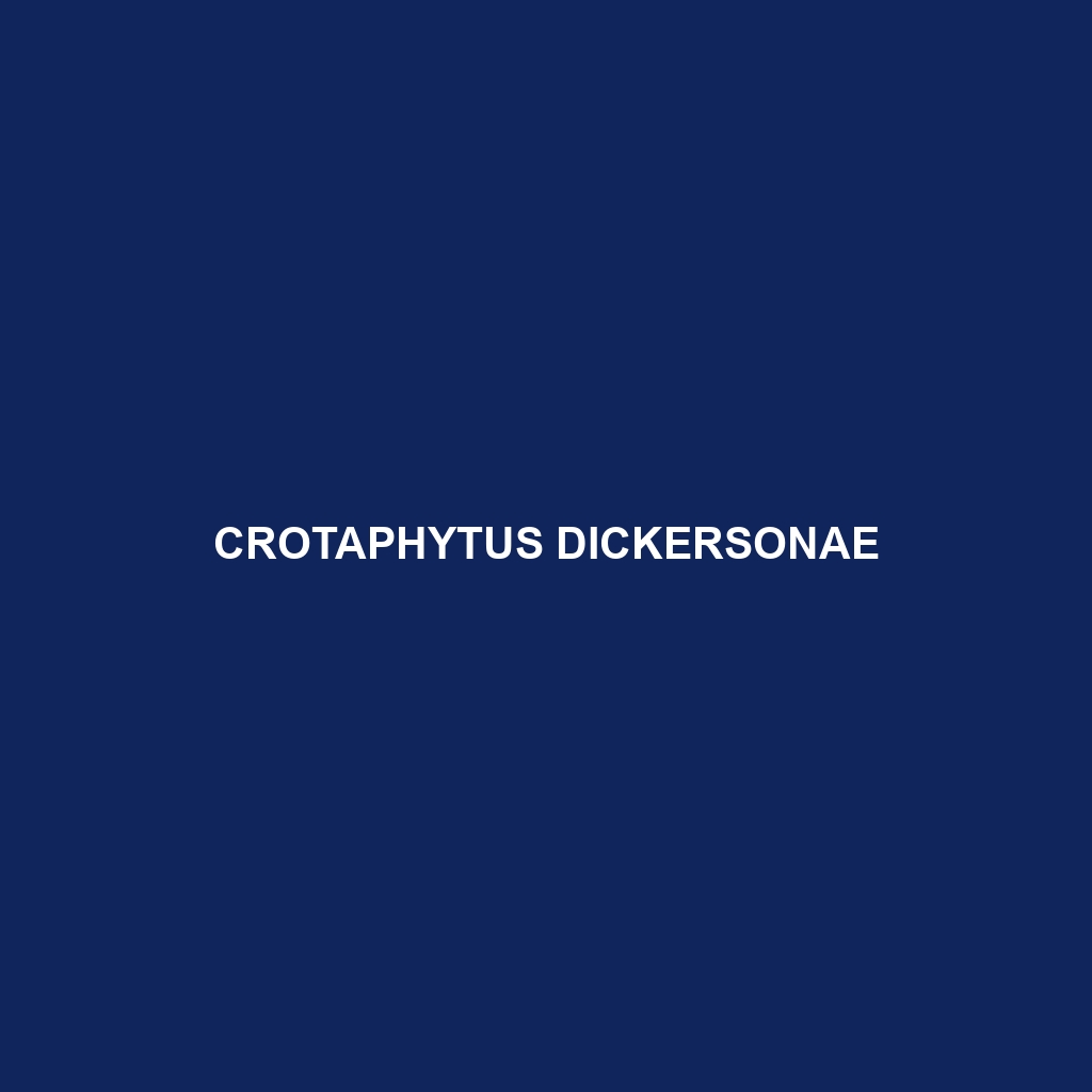 Crotaphytus dickersonae