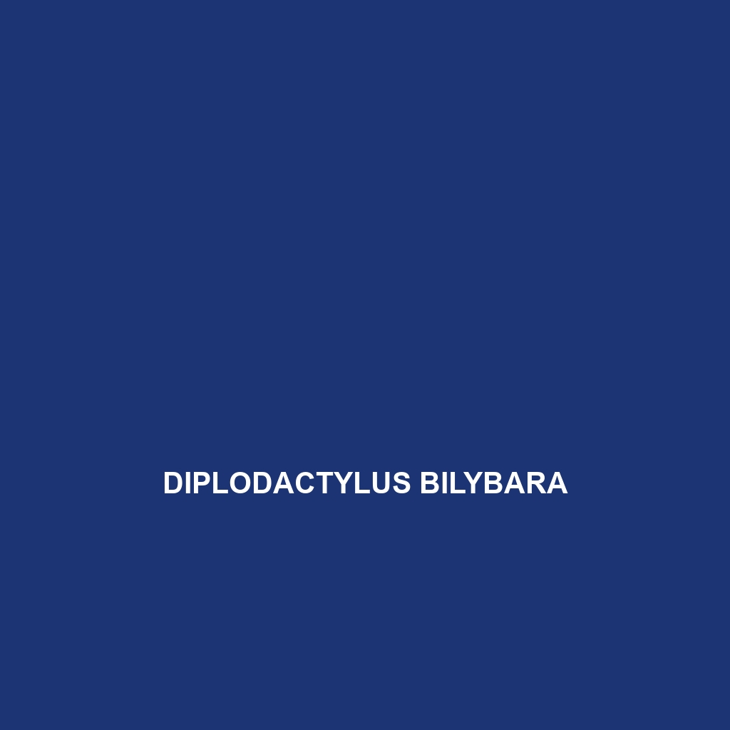 Diplodactylus bilybara