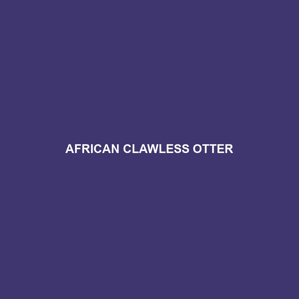 African Clawless Otter