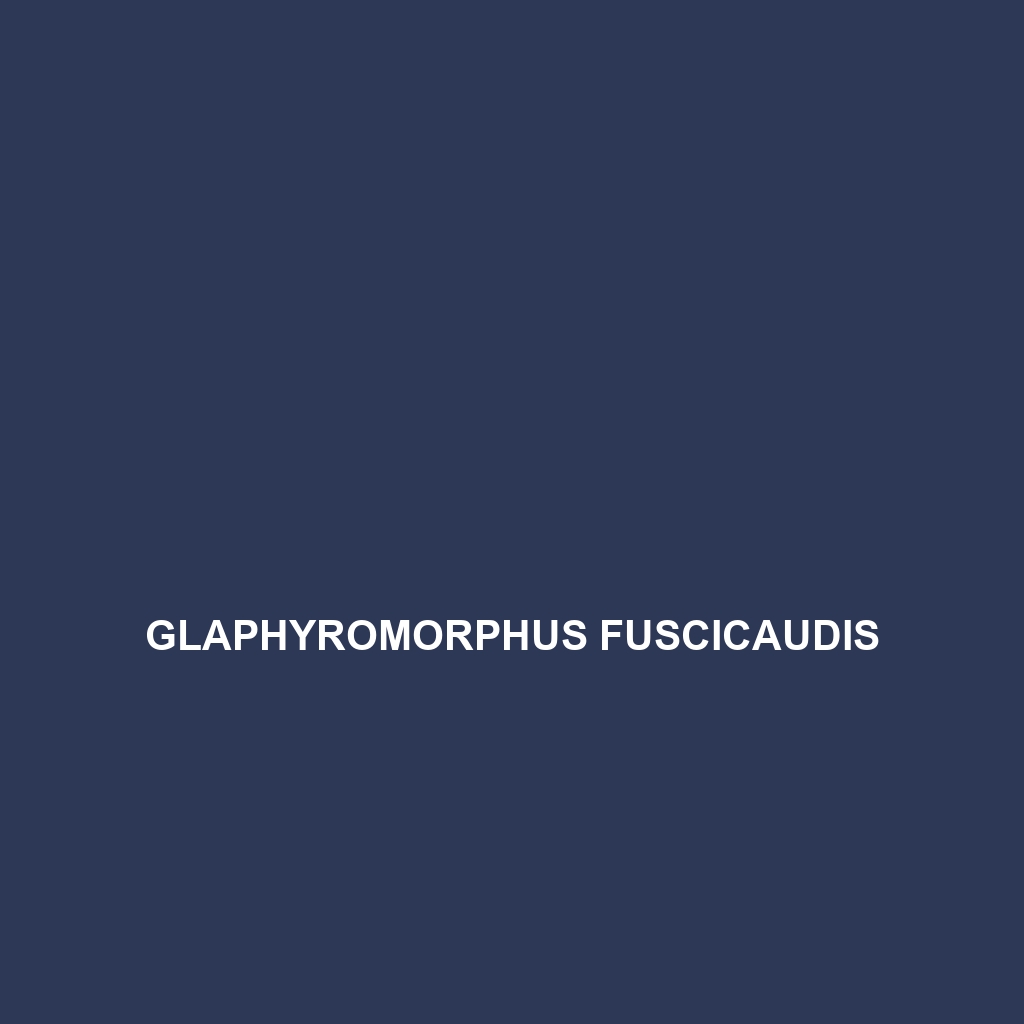 Glaphyromorphus fuscicaudis