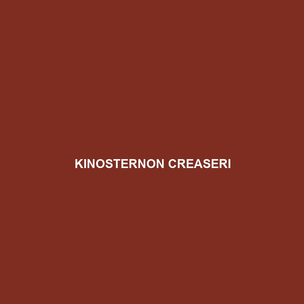 Kinosternon creaseri