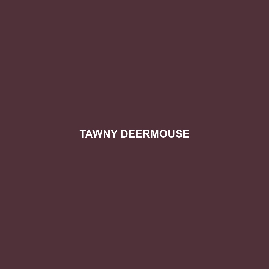 Tawny Deermouse