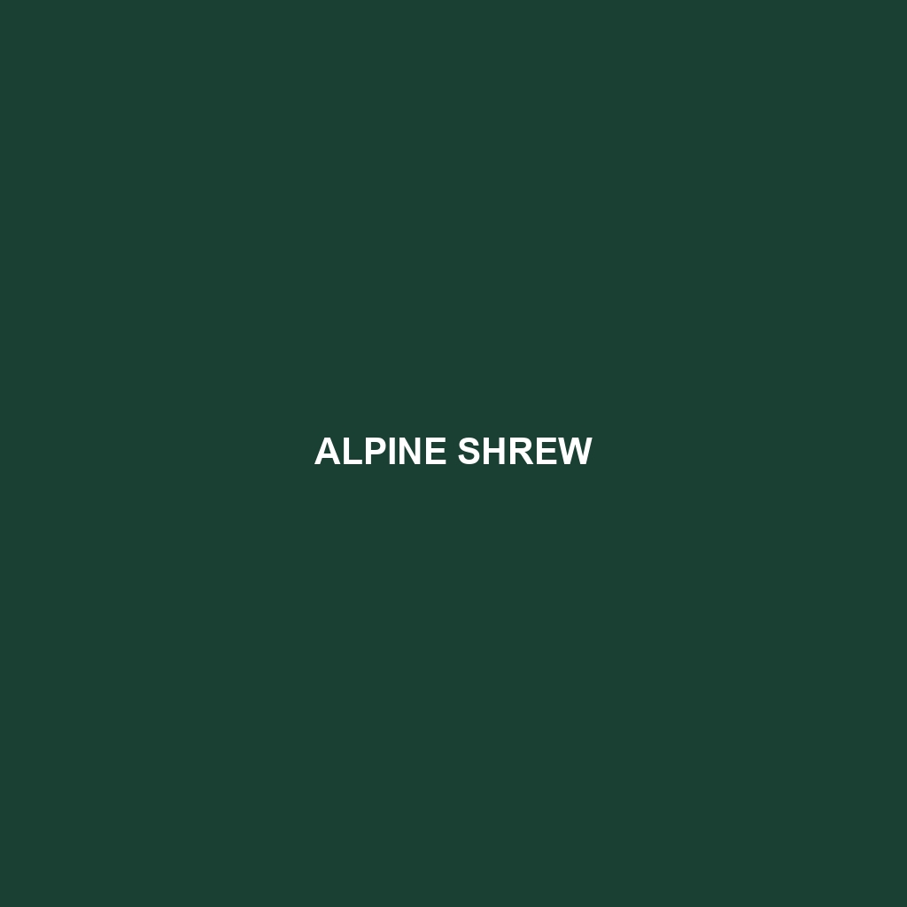 Alpine Shrew