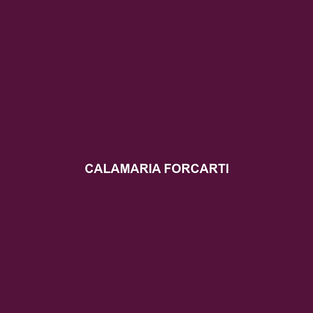 Calamaria forcarti