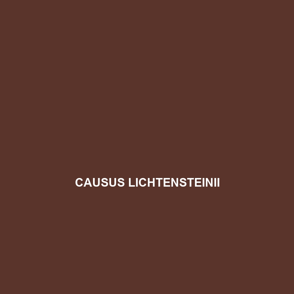 Causus lichtensteinii