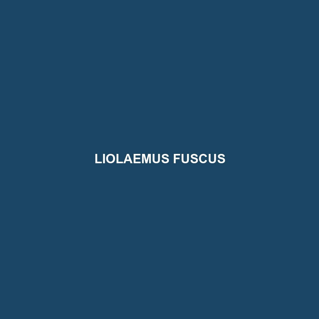 Liolaemus fuscus